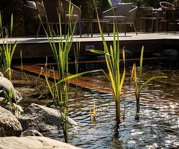 Le 25 Andernos-les-Bains